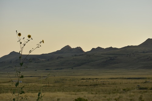 DSC_1840.jpg